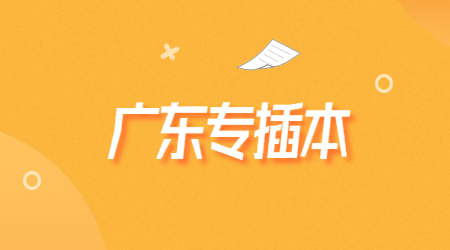 2025年广东专插本考试大纲什么时候出?