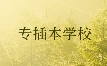 专插本学校