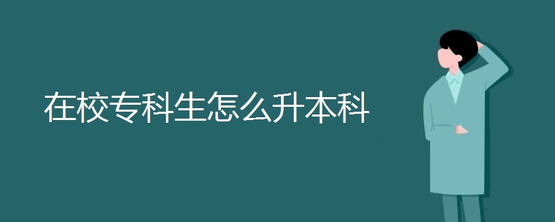 在校专科生怎么升本科