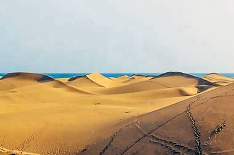 2022辽宁成考录取分数线什么时候能查 历年最低分