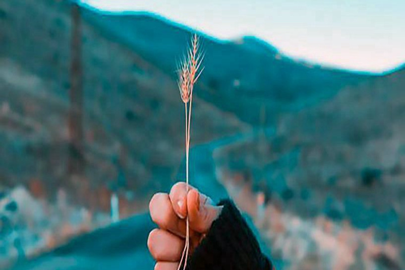 成考工程管理专业好吗 就业前景怎么样