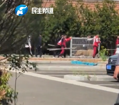 洛阳马戏团2只狮子出逃 游客四散而逃 责令停业整顿