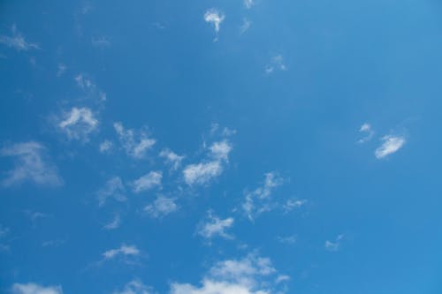 全日制专升本和非全日制的区别