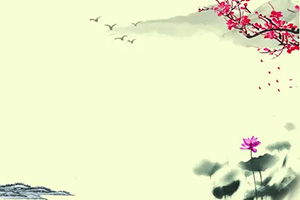3张照片如何排版好看(五张照片怎么排版好看)